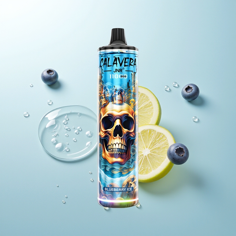 JNR Calavera 11000 Helado de Arándano con Carga Tipo-C y 21ml