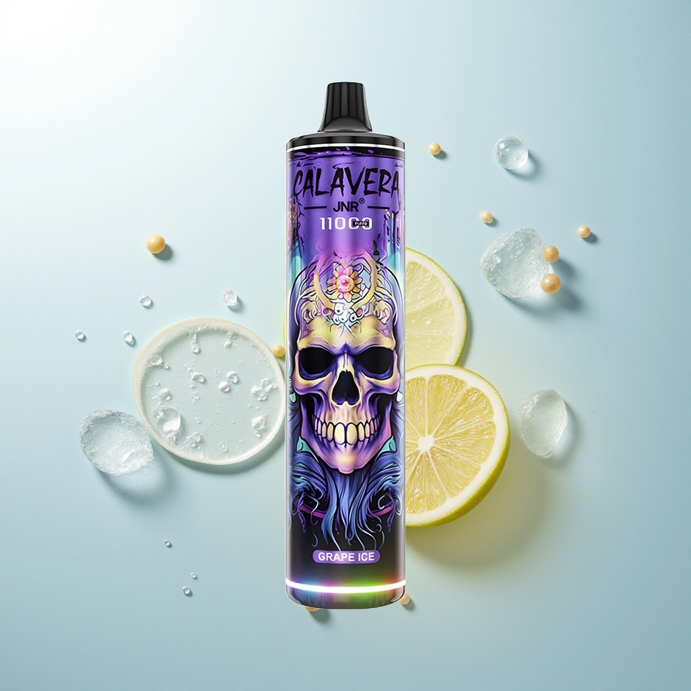 JNR Calavera 11000 Helado de Uva Tipo-C 850mAh