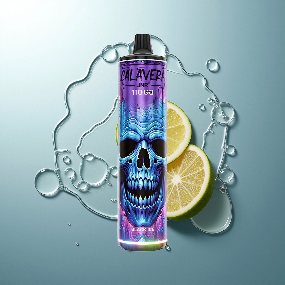 JNR Calavera 11000 Hielo Negro Tipo-C 850mAh