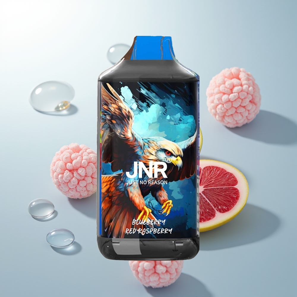 JNR Falcon 16000 Frambuesa Roja Arándano Dual Mesh 22ml
