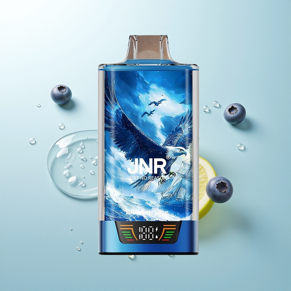 JNR Falcon Pro 28000 Helado de Arándano con Batería Inteligente y Doble Malla