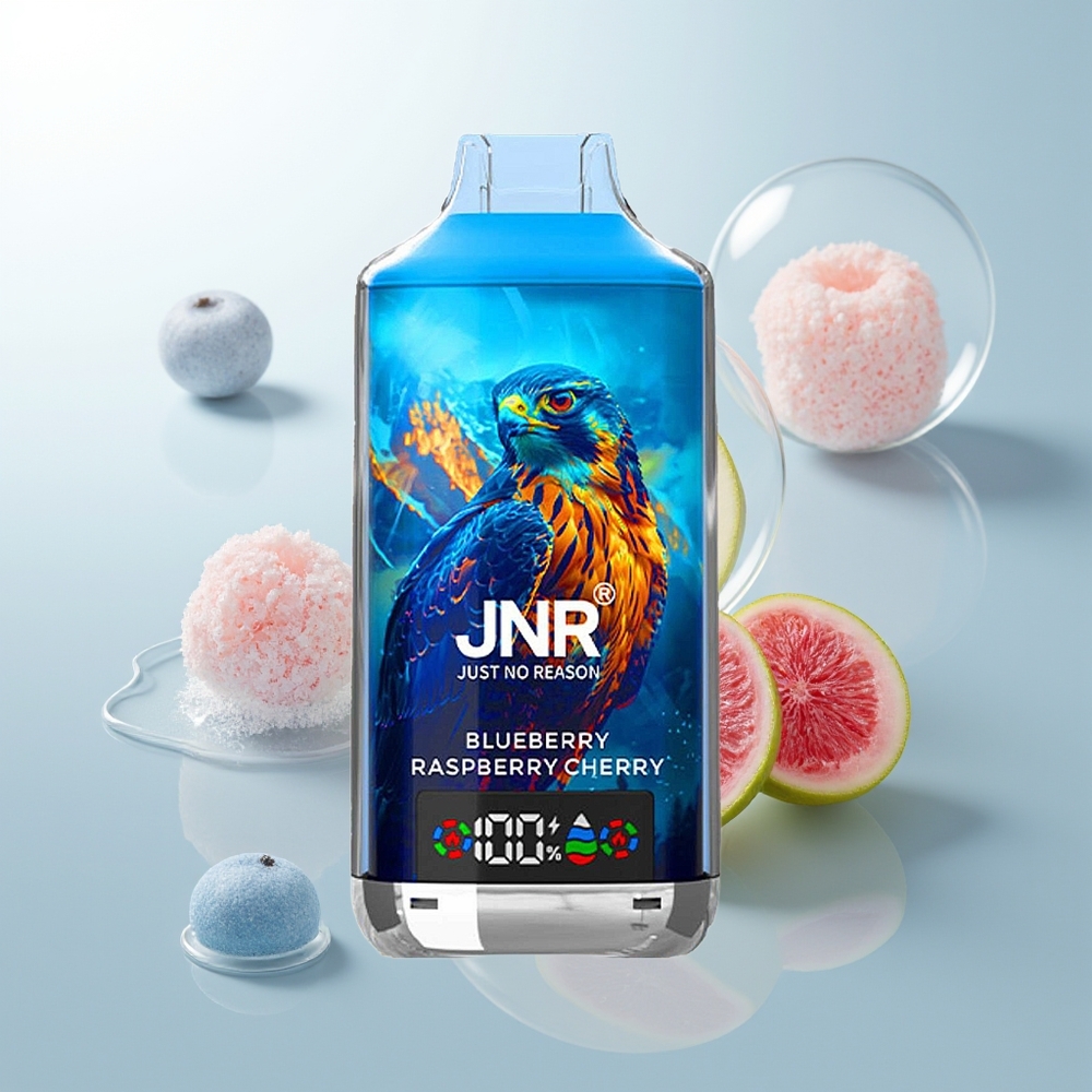 JNR Falcon X 18000 Arándano Frambuesa Cereza Digital Dual Mesh