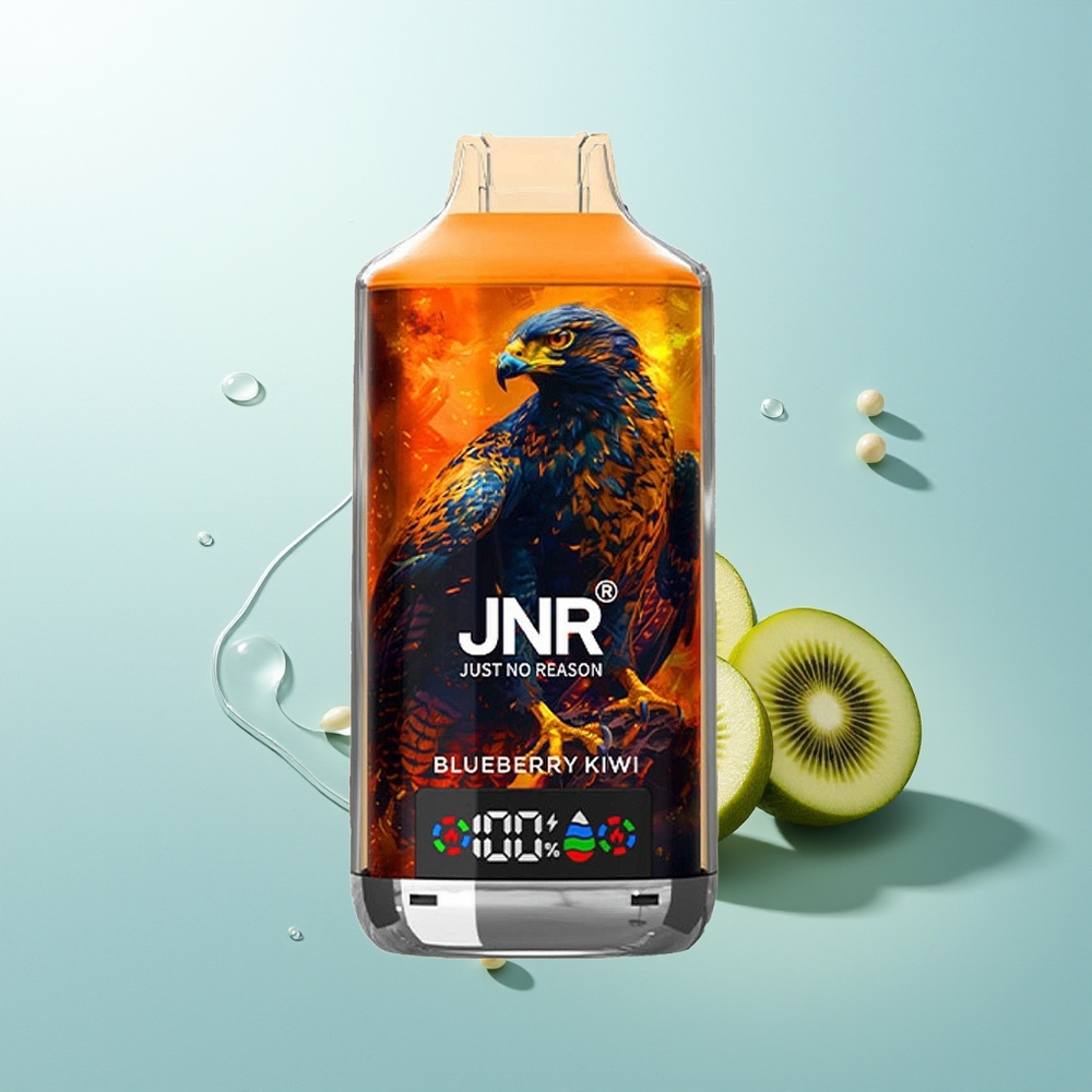 JNR Falcon X 18000 Arándano Kiwi 24ml Dual Mesh