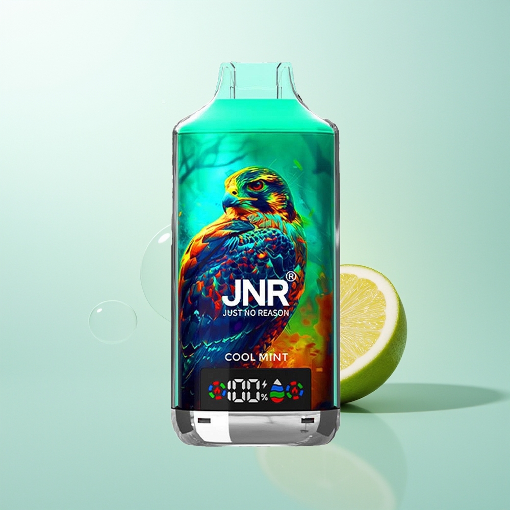 JNR Falcon X 18000 Menta Fresca Dual Mesh 24ml