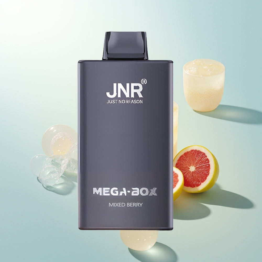 JNR Mega Box 25000 Baya Mixta Dual Mesh 850mAh