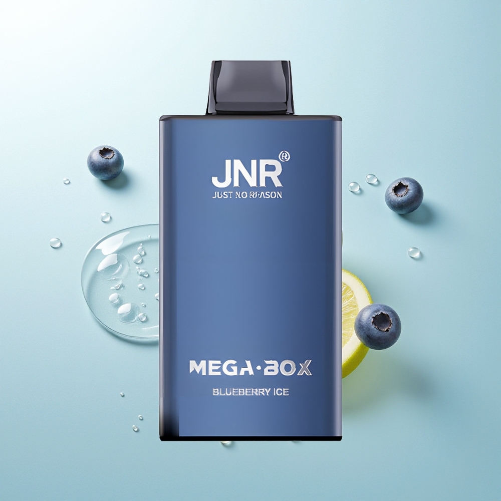 JNR Mega Box 25000 Helado de Arándano Dual Carga Rápida