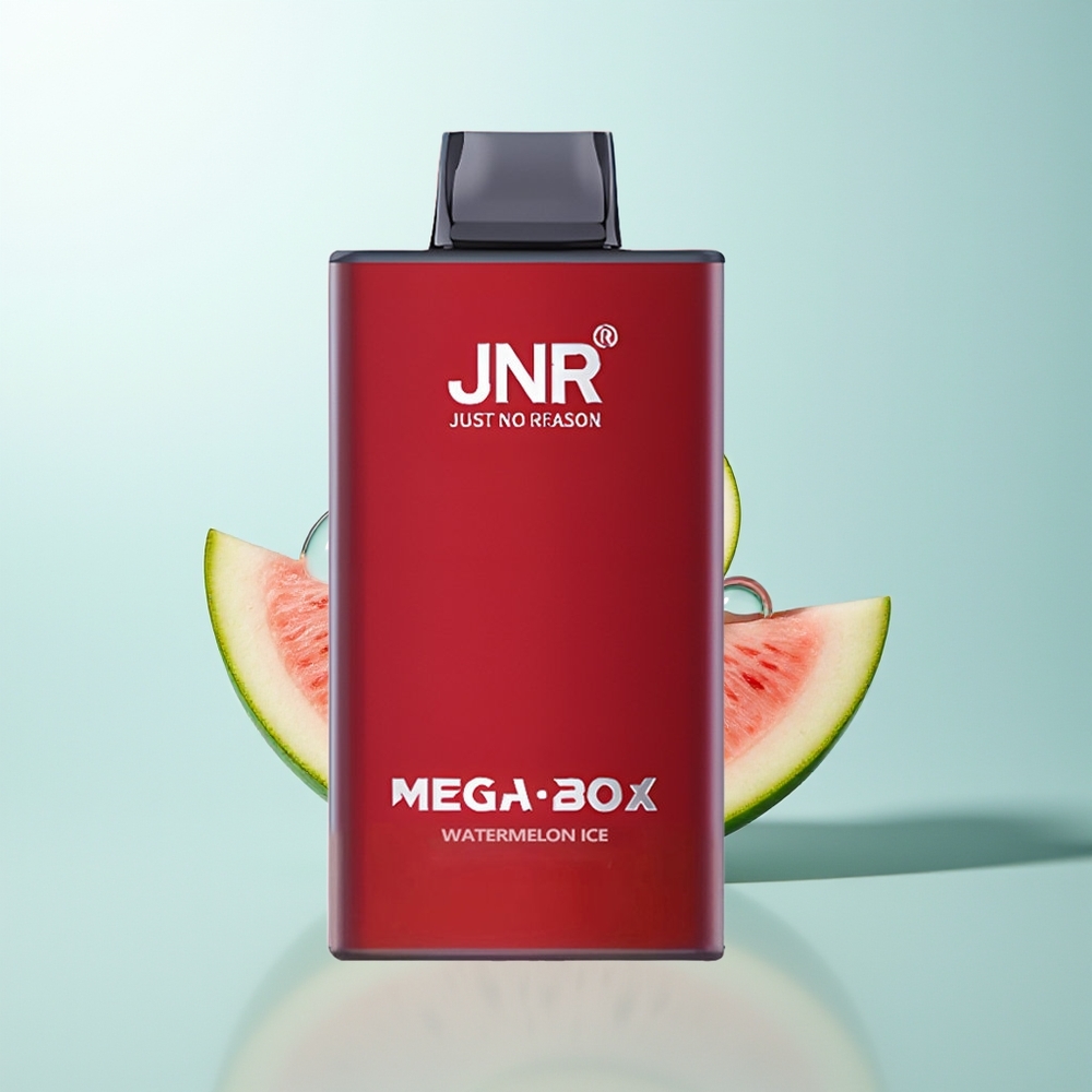 JNR Mega Box 25000 Sandía Hielo Dual Mesh 30ml
