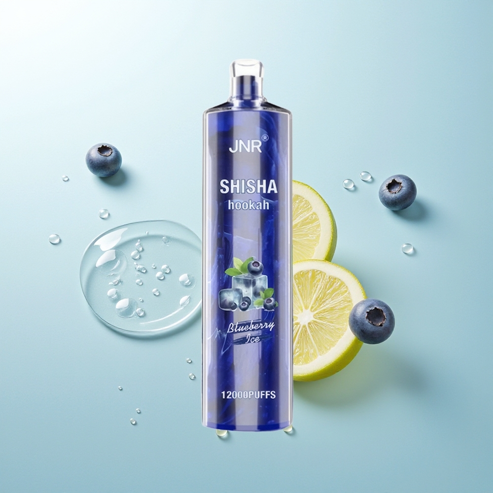 JNR Shisha Hookah 12000 Helado de Arándano 24ml 750mAh