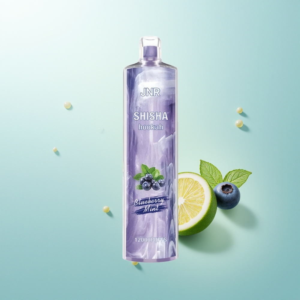 JNR Shisha Hookah 12000 Menta Arándano 24ml 750mAh