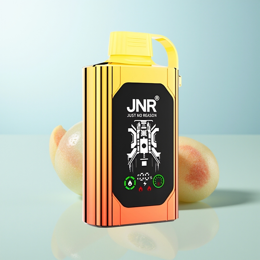 JNR Shisha Hookah Box 20500 Melocotones Jugosos HD con Carga Rápida Tipo-C y Doble Malla