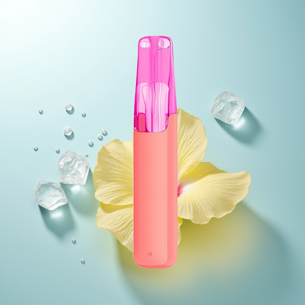 Snowplus Dash 4000 Té Helado de Hibisco Cerámico 530 mAh