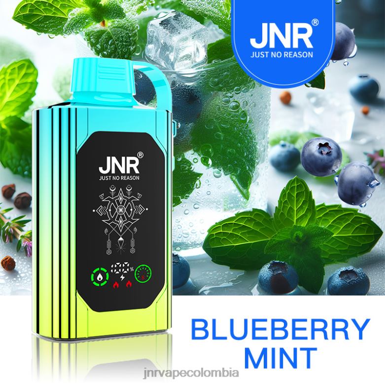 JNR Vapes Website - JNR SHISHA caja menta de arándanos X6LNF88