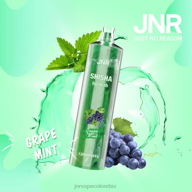 JNR Vape Colombia - menta de uva shisha jnr NJ422171