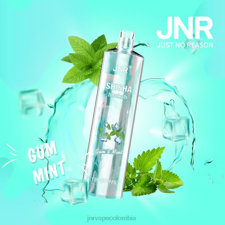 JNR Vape Nicotine - chicle y menta shisha jnr NJ422164